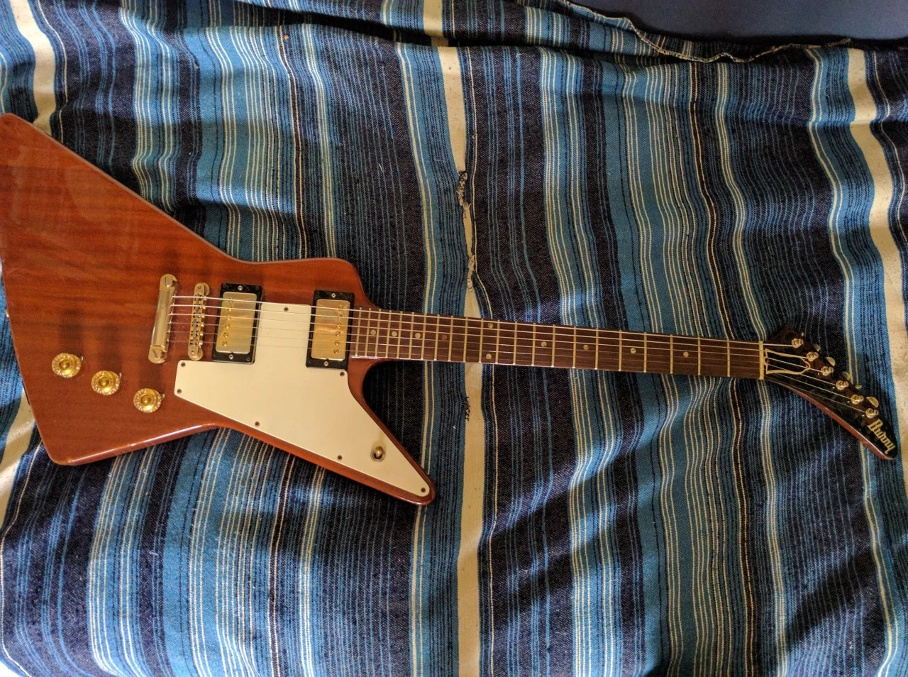 Burny Explorer MIJ - REX 80