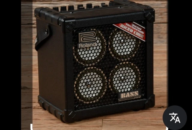 Roland micro cube bass