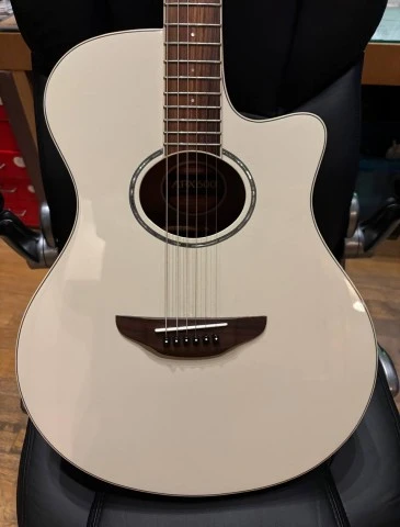YAMAHA APX-600