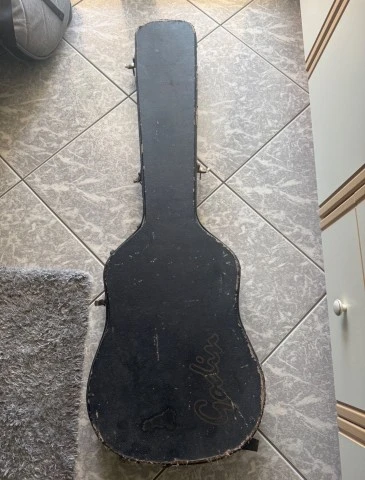 Godin A4(2000) fretted 