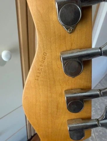 Godin A4(2000) fretted 