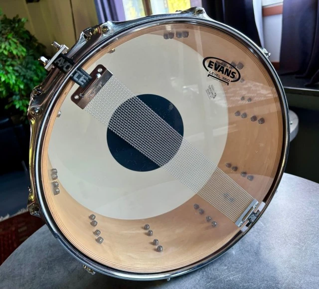 Ayotte velvet 14X5.5