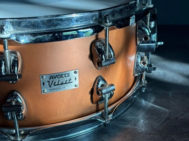 Ayotte velvet 14X5.5