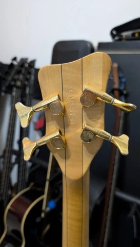 Warwick Streamer $$ FRETLESS German (δεκτή ανταλλαγή)