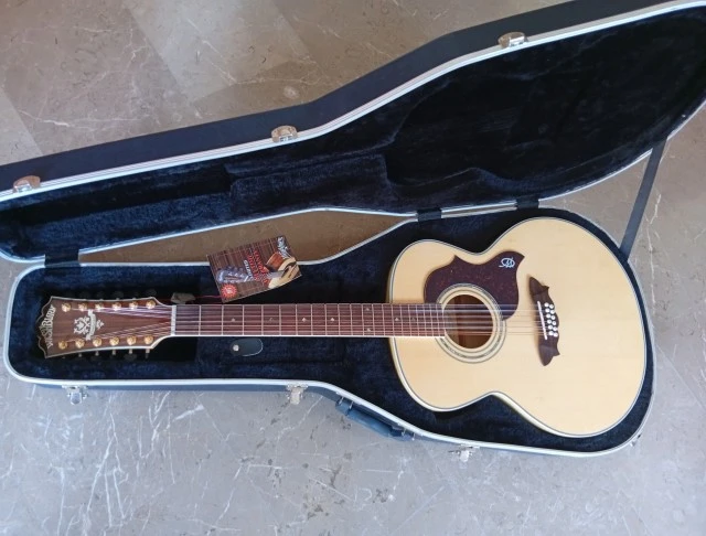 12χορδη Washburn Cumberland - NOS