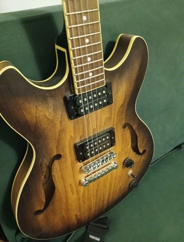 IBANEZ artcore + gator hardcase 