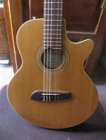Washburn NV-100C Ηλεκτροκλασσική .