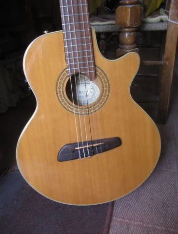 Washburn NV-100C Ηλεκτροκλασσική .