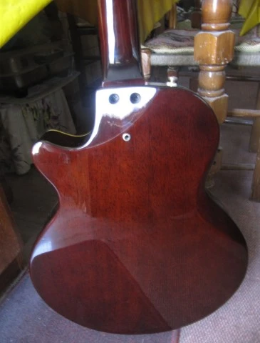 Washburn NV-100C Ηλεκτροκλασσική .