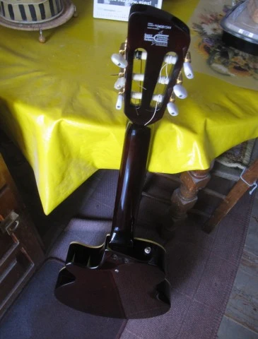 Washburn NV-100C Ηλεκτροκλασσική .