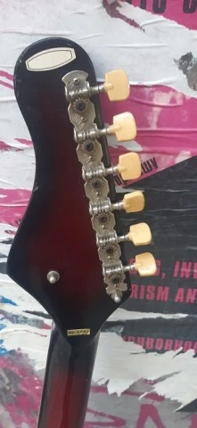ARIRANG EG-202T