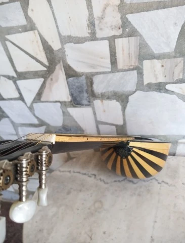τετράχορδο με καινούργια τάστα.