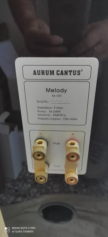 Αurum Cantus M103 200watt