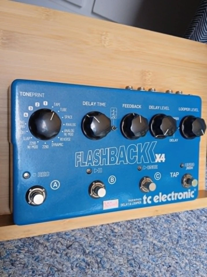 tc electronic Flashback x4