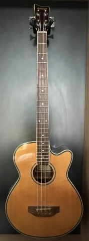 Infinity Model 3 Acoustic Bass