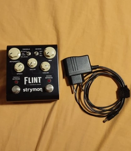 Strymon Flint