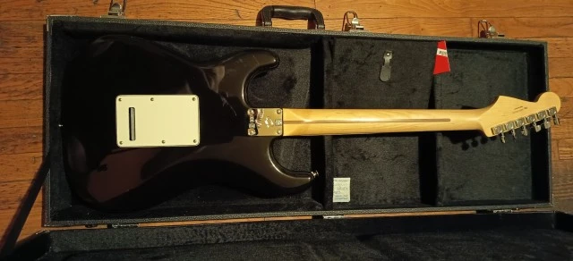 Fender Player Stratocaster made in Mexico 