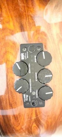 Ibanez EW50CBENT1201 Electro Acoustic – Άριστη κατάστασ