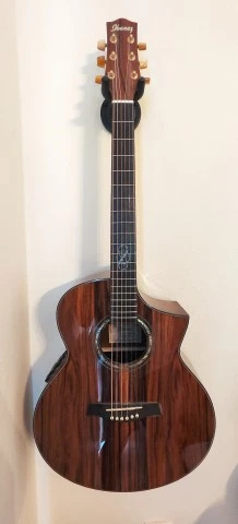 Ibanez EW50CBENT1201 Electro Acoustic – Άριστη κατάστασ