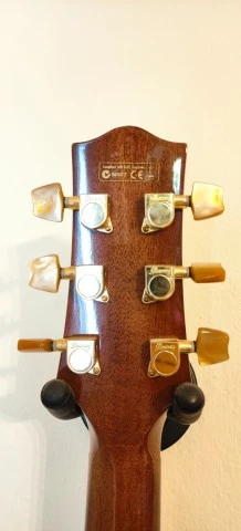 Ibanez EW50CBENT1201 Electro Acoustic – Άριστη κατάστασ