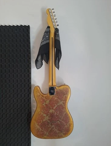 Paisley telecaster project 