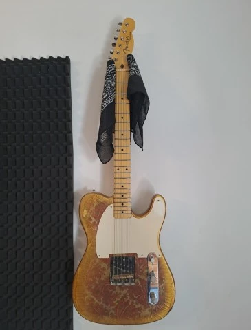 Paisley telecaster project 