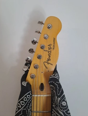 Paisley telecaster project 