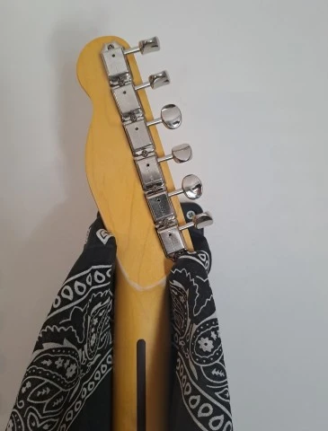 Paisley telecaster project 