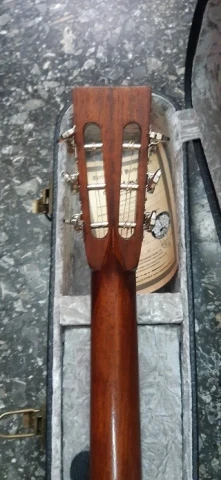 Eastman E1P LTD bluesmaster Adirondack top