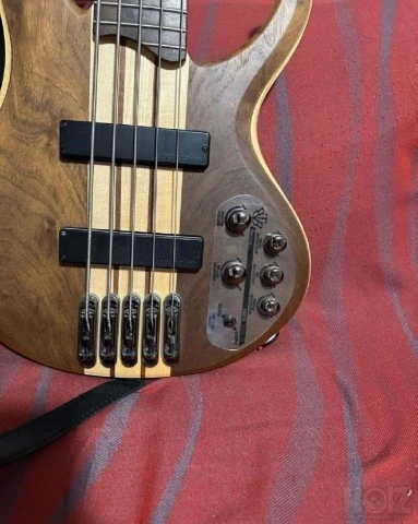 Ibanez 5 String Electric Bass