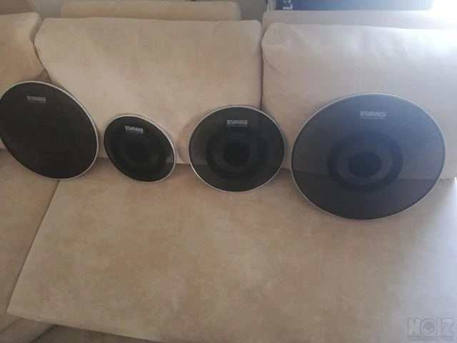 Evans db1 mesh head. 22,10,12,16,14 snar