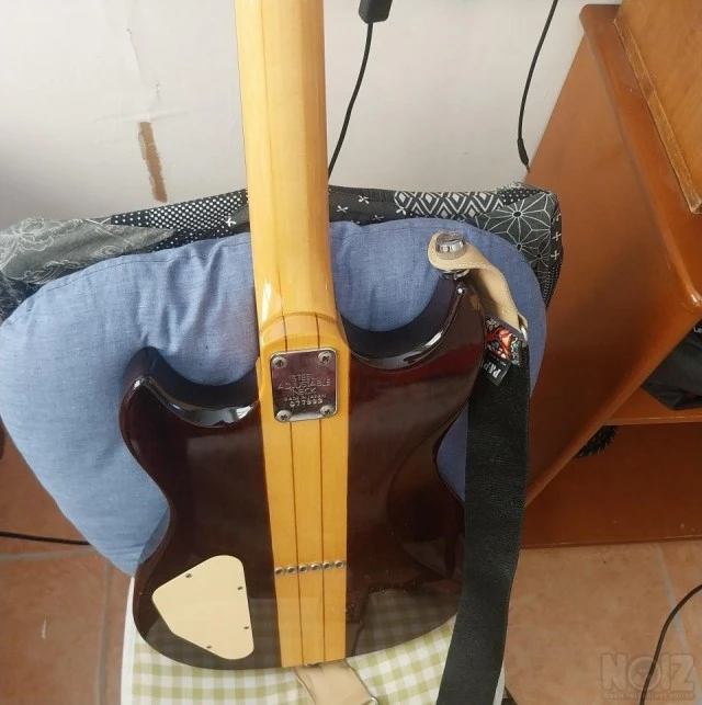 Aria Pro II TS-350 Thor-Sound Series Ele