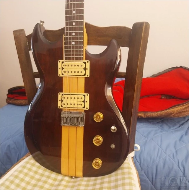 Aria Pro II TS-350 Thor-Sound Series Ele