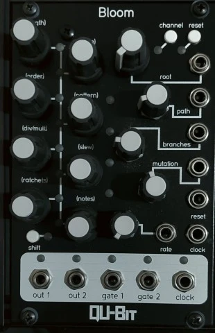 QU-Bit Bloom