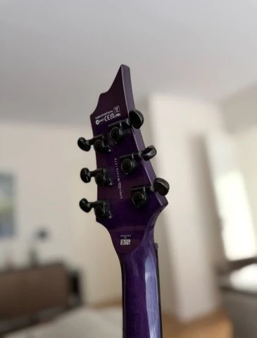ESP LTD H-1000 Evertune QM STPSB
