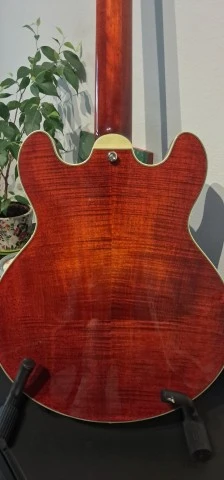 Eastman T484 (2025) – Άριστη κατάσταση