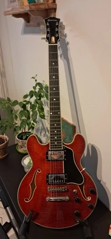 Eastman T484 (2025) – Άριστη κατάσταση