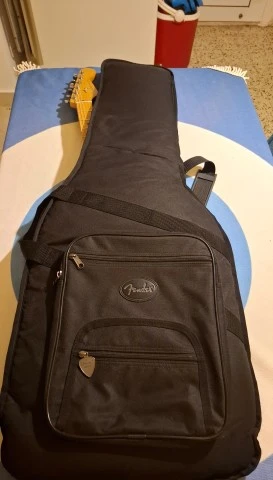 fender player plus 2 HSS stratocaster