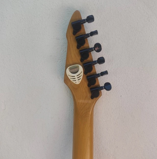 Skunk Brothers tool box guitar 