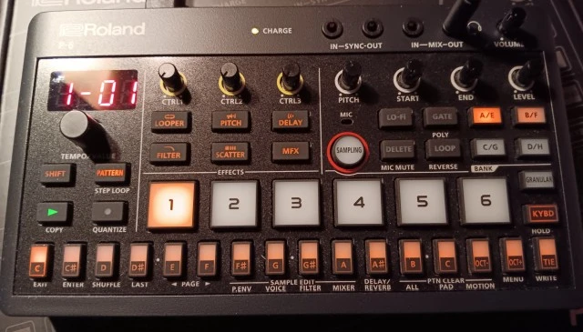 Roland P-6
