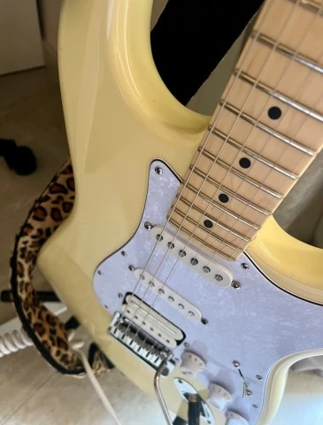 Fender partcaster strat (American performer neck)