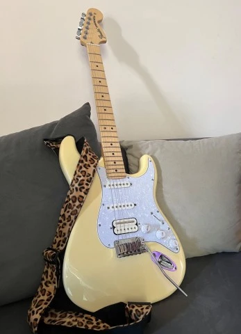Fender partcaster strat (American performer neck)