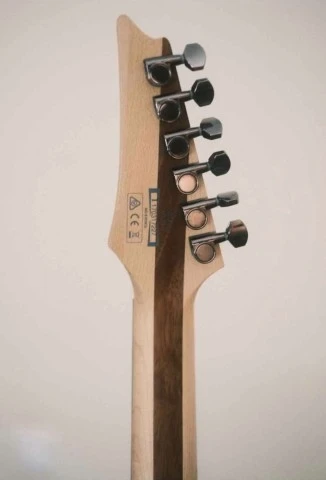 Ibanez PWM10 2020 Custom, Bare Knuckle &amp; SH1-59'