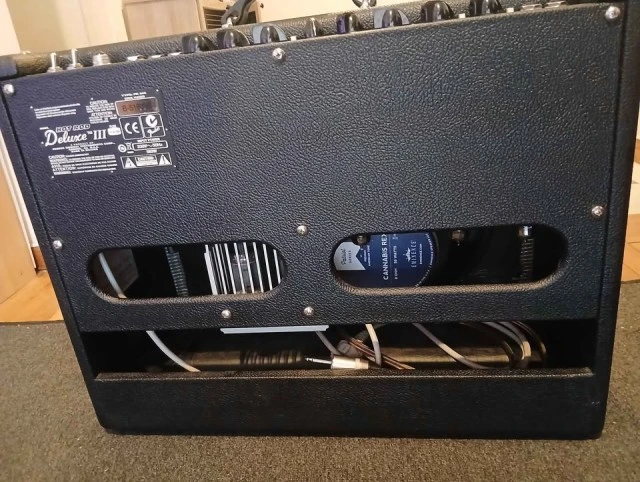 Fender hot rod Deluxe iii Eminence Cannabis Rex Speaker