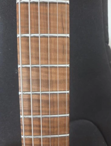 Harley Benton Guitar Max Fusion Walnut