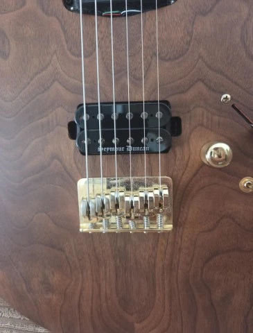 Harley Benton Guitar Max Fusion Walnut