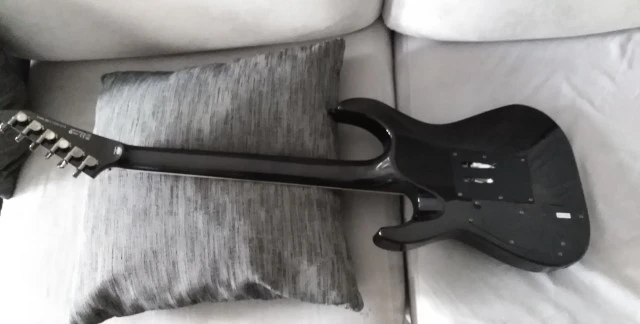 Esp ltd 300fm 