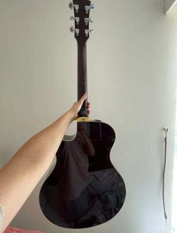 Electric - Acoustic Guitar 
