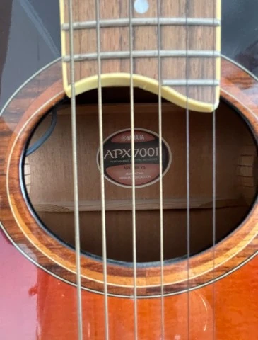 Electric - Acoustic Guitar 