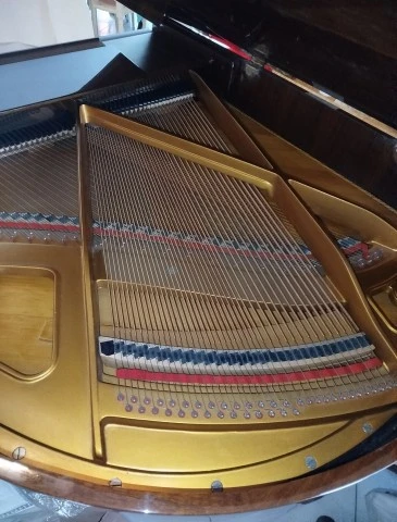 Piano Petrof 